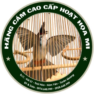 Hãng Cám Hoạt Họa Mi