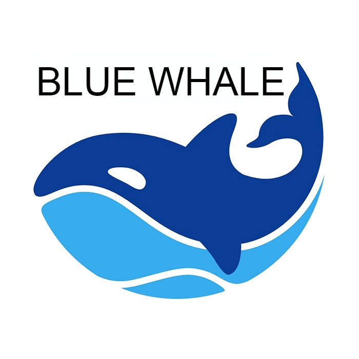 Blue Whale VN