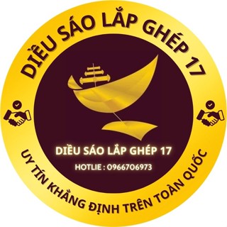 Diều sáo lắp ghép17