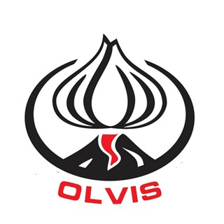 Tỏi Lý Sơn chính gốc OLVIS
