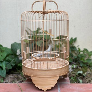 Phụ kiện chim cảnh 