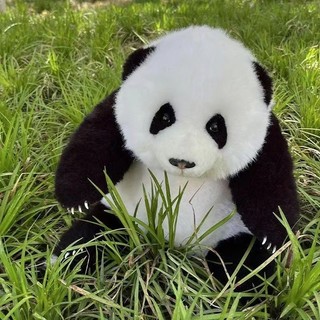Búp bê nhồi bông Bedillo