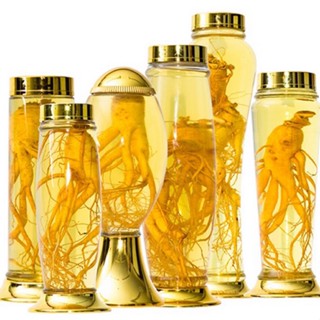 Đồ rừng ngâm rượ.u