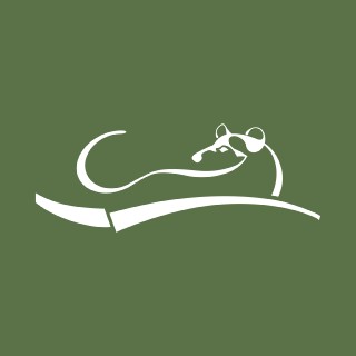 Huyền Thoại Núi Cà Phê