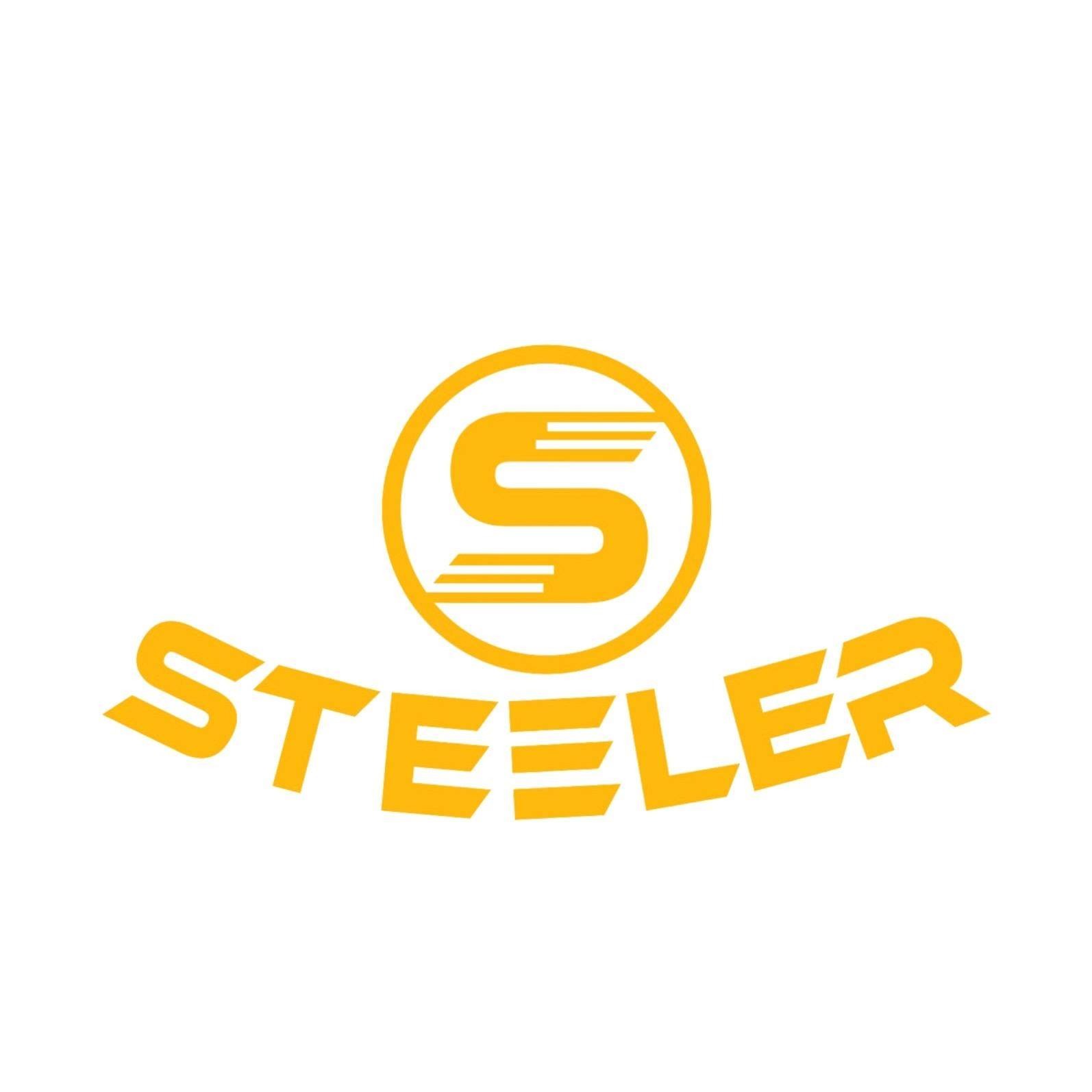 Steeler Shoes