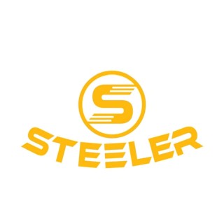 Steeler Shoes