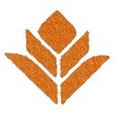 Kho Thiết Bị Y Tế Hoa Lê