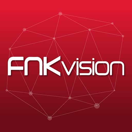 FNK VISION 