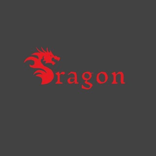Dragon Flagship Store