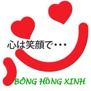 BÔNG HỒNG XINH shope