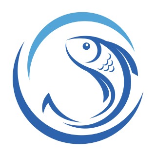 Đồ Câu Bình Dân