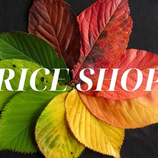 Riceshop2k