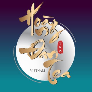 tra_shan_tuyet_hoangdantea