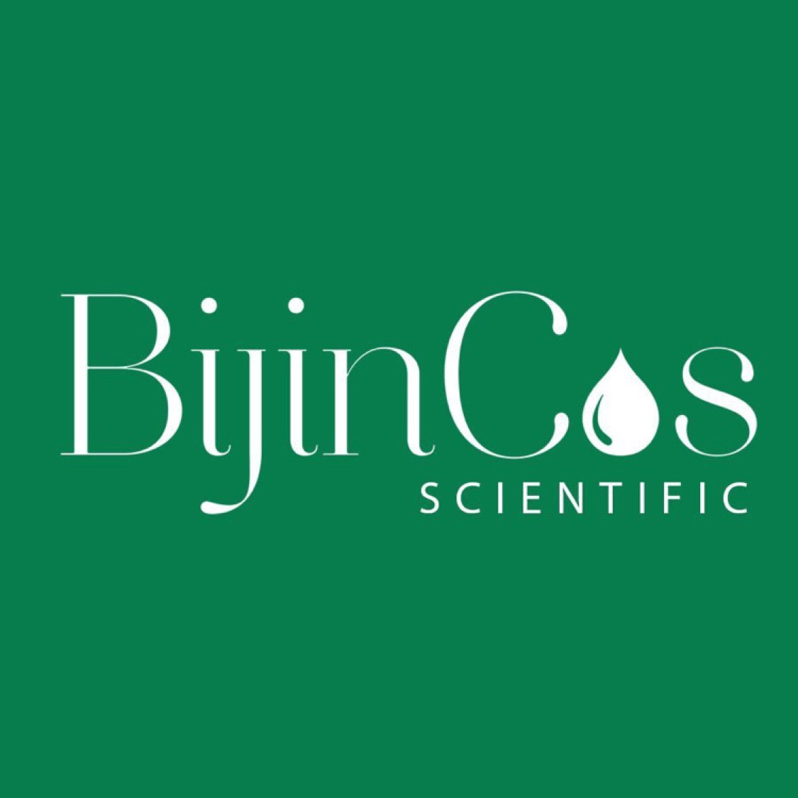 Bijincos Việt Nam