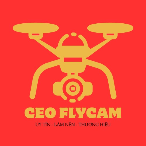 CEO FLYCAM