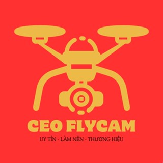 CEO FLYCAM
