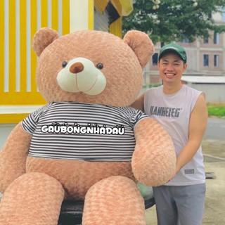 Gấu bông Nhà Đậu
