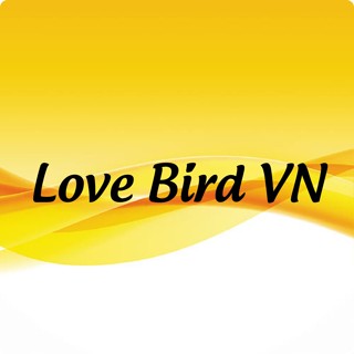 Love Bird VN