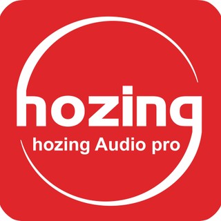 HOZING Flagship Store