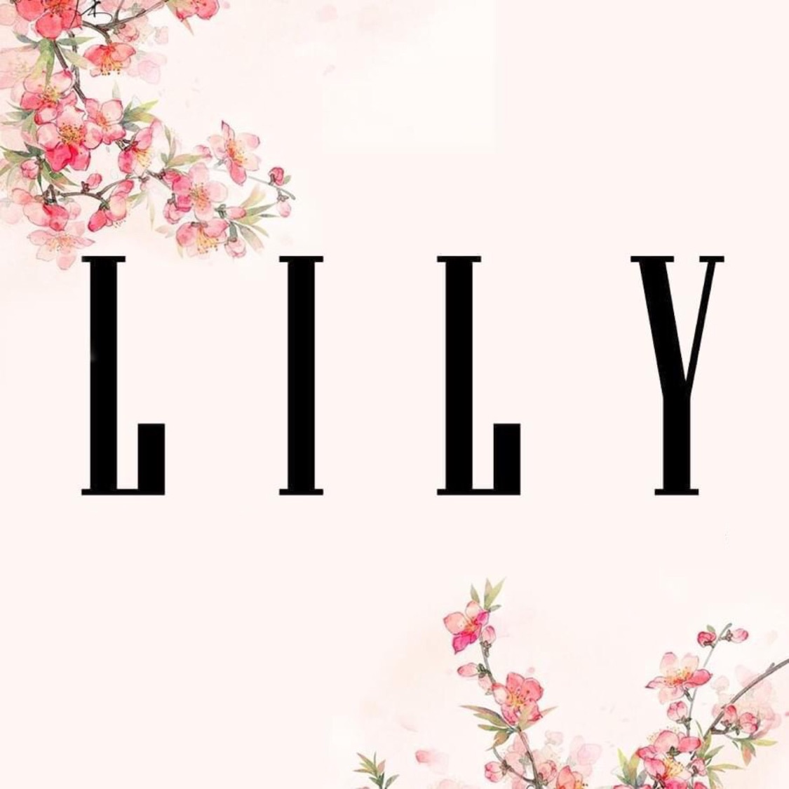LiLy Store - Phụ Kiện Quà Tặng