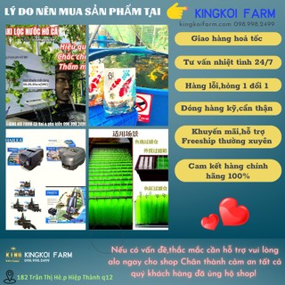 KING KOI FARM
