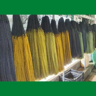 Phụ kiện săn bẫy phuong