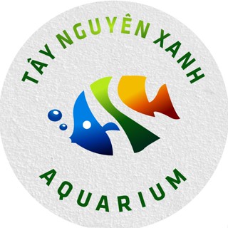 Tây Nguyên Xanh AQUARIUM