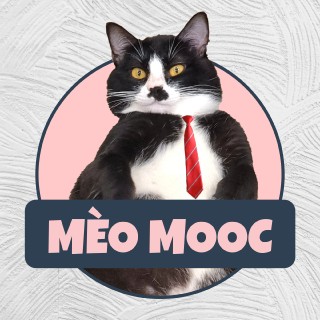 Gia Đình Mèo Mooc Pet Shop