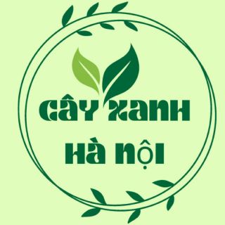Cây Xanh Hà Nội