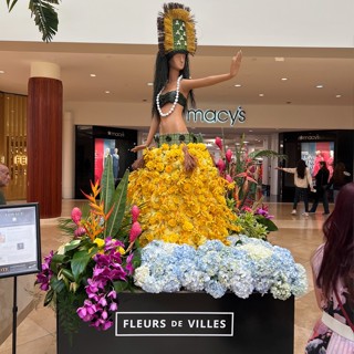 Suri shop hàng Mỹ