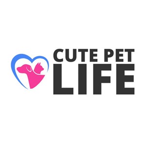 Cute pet life shop