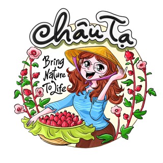 Châu Tạ - Atiso đỏ và dâu tằm