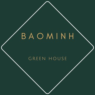 Decal dán tường Korea