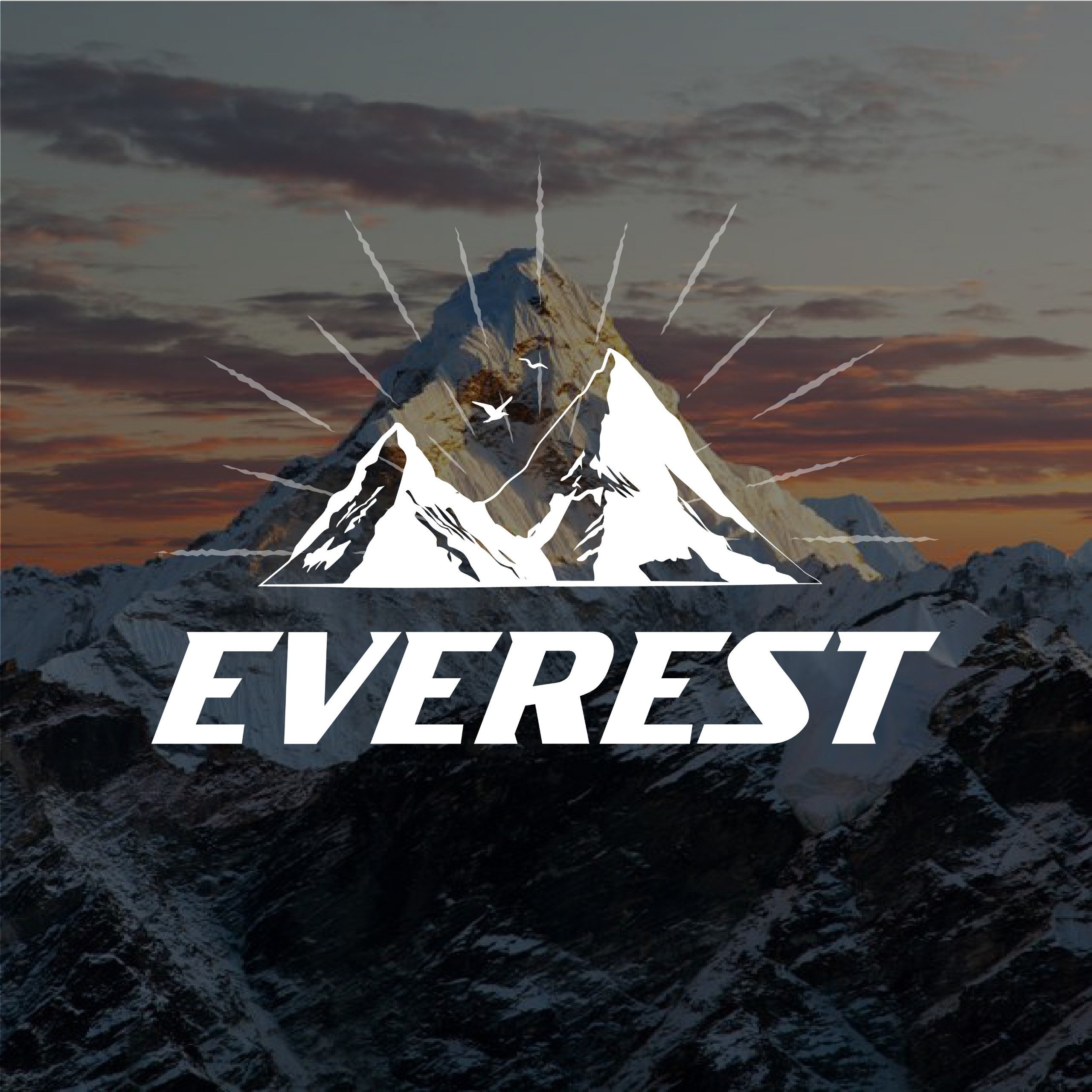 Phụ kiện đồ chơi ôtô EVEREST, Cửa hàng trực tuyến | BigBuy360 - bigbuy360.vn