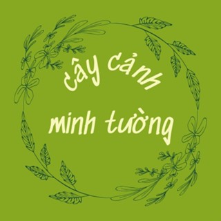 Cây Cảnh Minh Tường