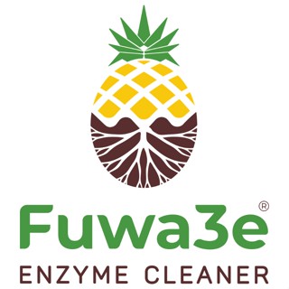 Fuwa3e.Authorised store by HCM