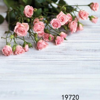 Phông nền chụp ảnh UniHome