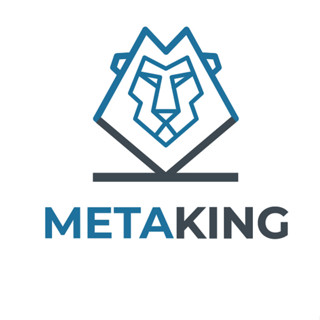 METAKING.HÀ NỘI