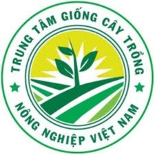 VƯỜN CÂY GIỐNG CHUẨN