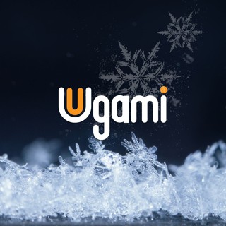 Ugami official