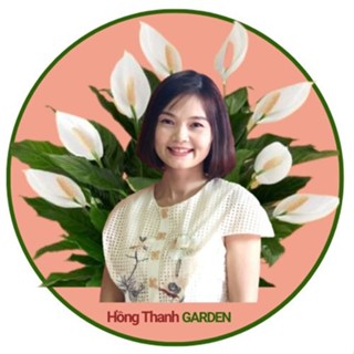 Hồng Thanh Garden 2··