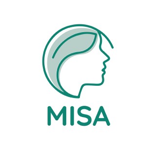 MISA.VN