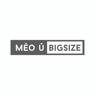 Mèo Ú Bigsize
