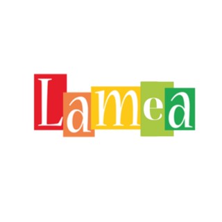 LAMEA VIET NAM