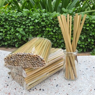 Ống hút xanh Mekong
