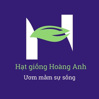 Hạt Giống Hoàng Anh