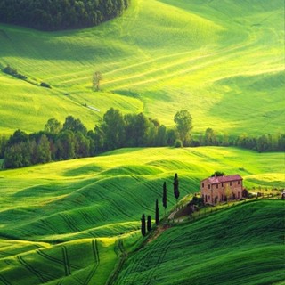 Phụ Kiện Luxury HaNo_No.1