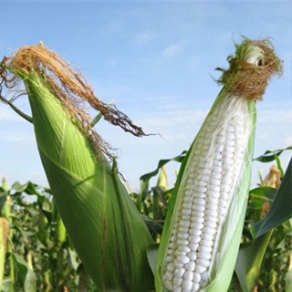 Bột Pha Nước Giặt Quần Áo