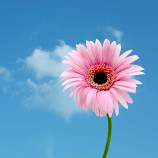 Shop gia dụng Thy Trương