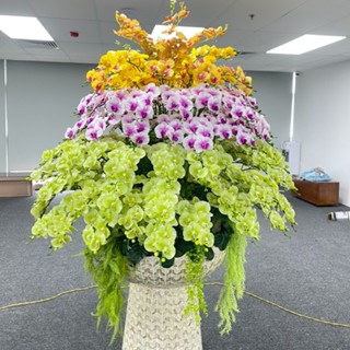 Cây cảnh Trung Quang